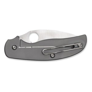 SPYDERCO C123TIP SAGE TITANIUM CAKI