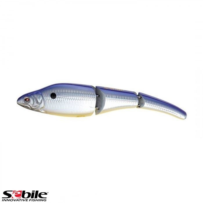 SEBILE Magic Swimmer MS-GL-NO-110-FSK-LV