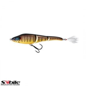 SEBILE Magic Swimmer MS-GL-NO-110-SNG-NBG